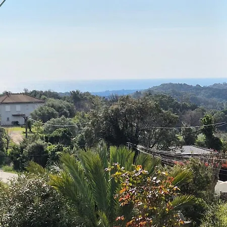 Casa - Corse Casacervione - Corse Cervione
